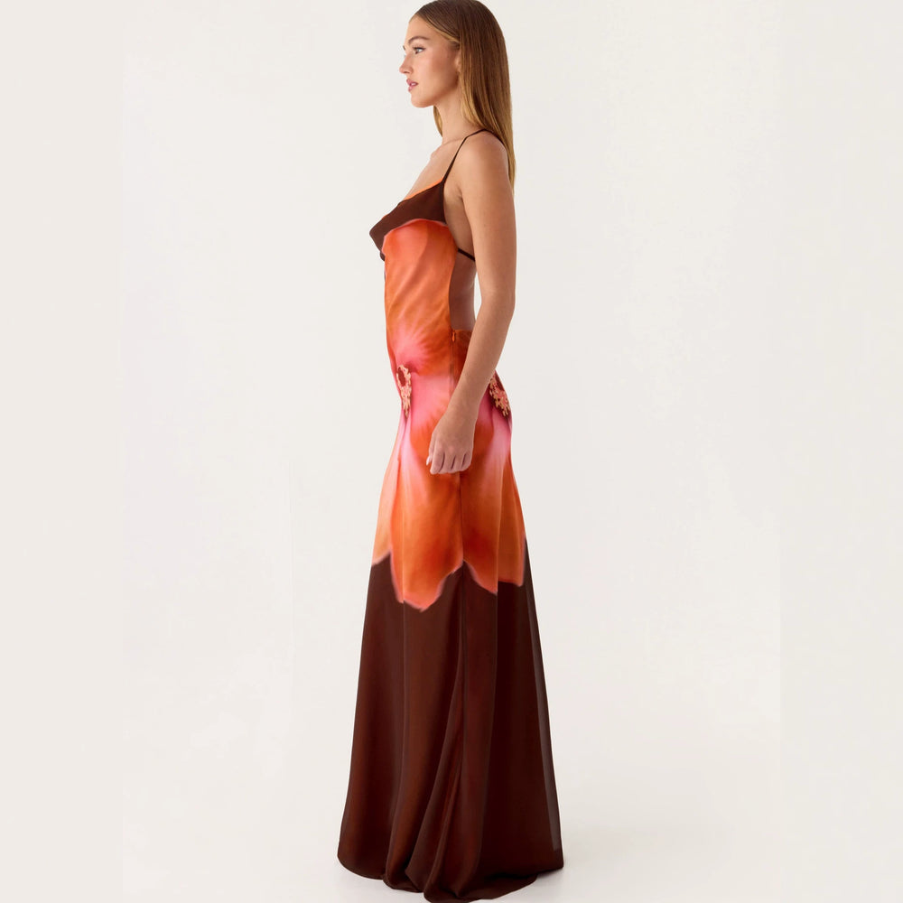 2026 New Cross border Women's Fashion Strap Hanging Neck Printed Waist slimming Trendy Dress Long Skirt from Europe and America
